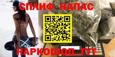 прущие грибы Заводоуковск