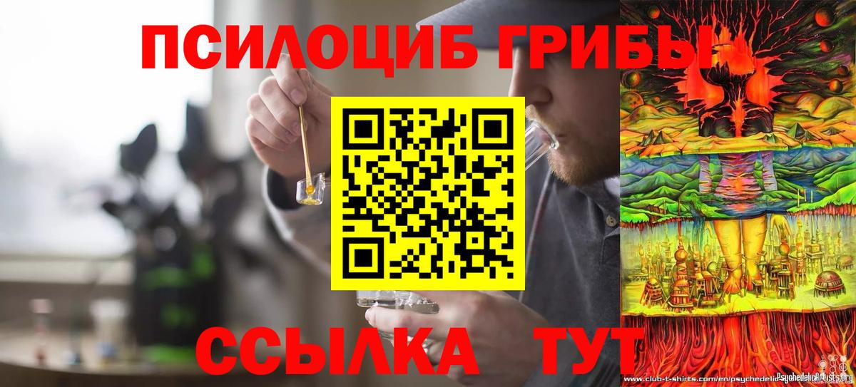 Фрязино  Псилоцибиновые грибы мухоморы  Вход с VPN 